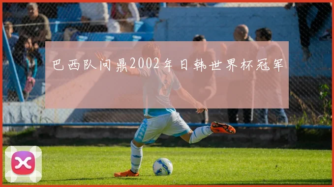 巴西队问鼎2002年日韩世界杯冠军