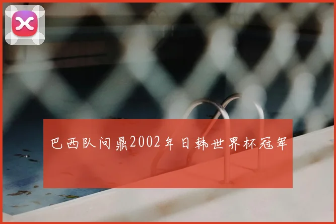 巴西队问鼎2002年日韩世界杯冠军